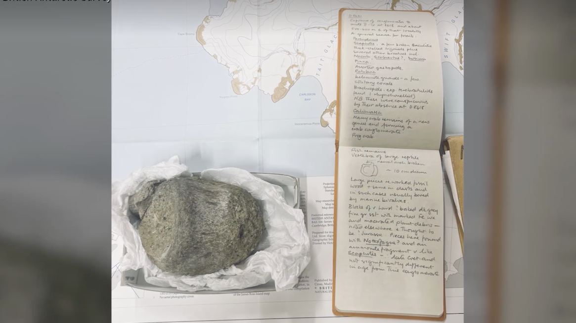 First-ever dinosaur bone from Antarctica found