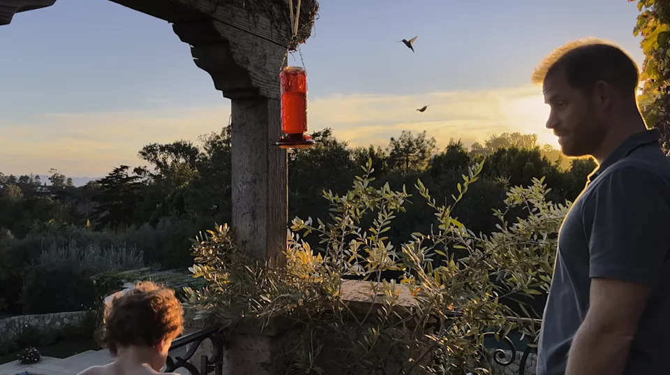 Prince Harry and son Archie watching hummingbirds