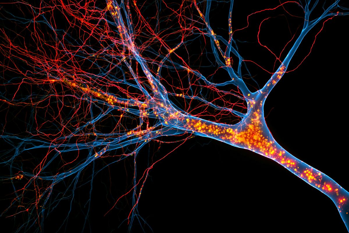 Neuroscience News logo for mobile.