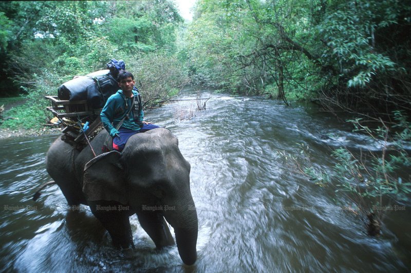 How (not) to conserve our tropical forests
