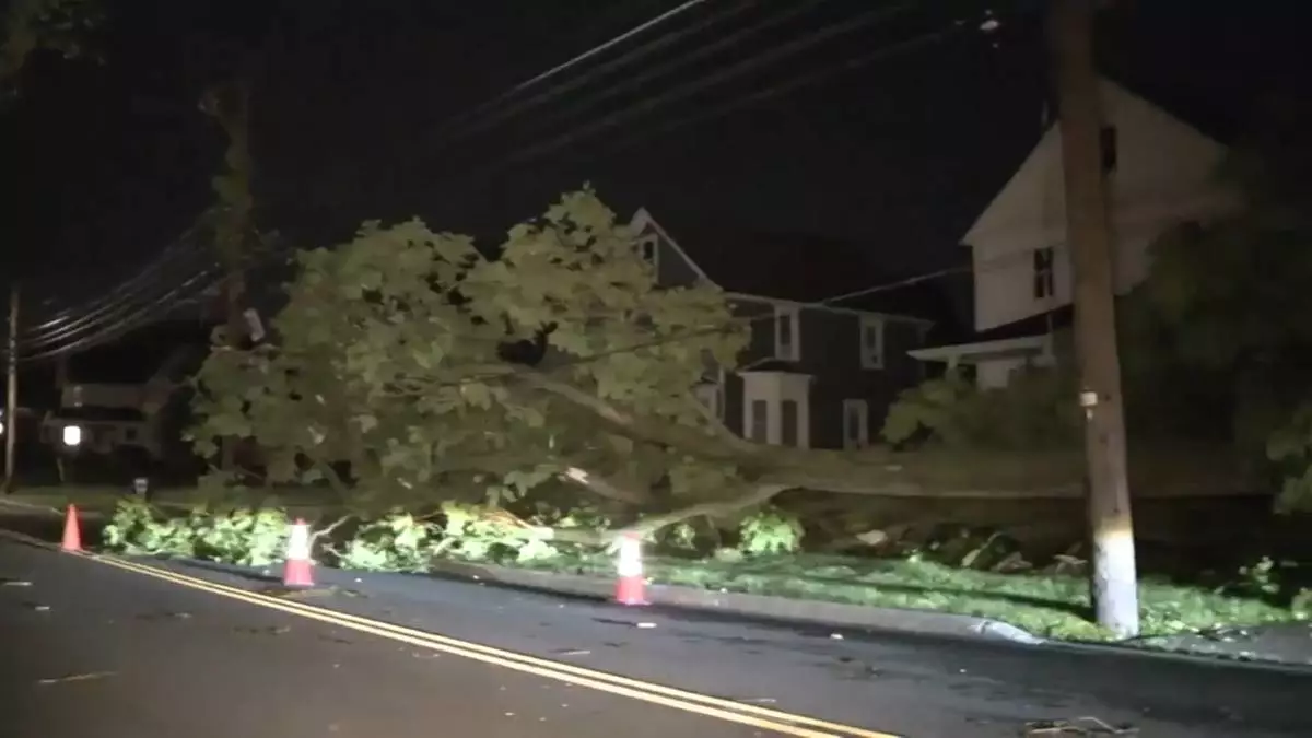 This frame grab from video shows a downed tree after storms struck Amherst, Ohio, west of Cleveland on Wednesday, June 10, 2026. (AP Photo/Courtesy WEWS/NEWS5) TELEVISION OUT