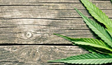 In a First Episode of Psychosis (FEP), Distinct Symptoms, Cognition, and EEG Measures Seen in Cannabis Users vs. Non-Users