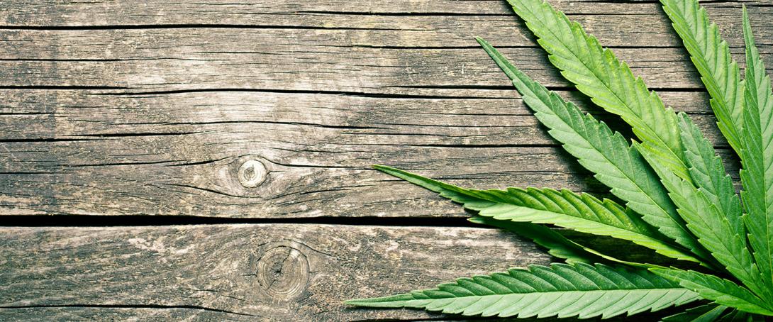 In a First Episode of Psychosis (FEP), Distinct Symptoms, Cognition, and EEG Measures Seen in Cannabis Users vs. Non-Users