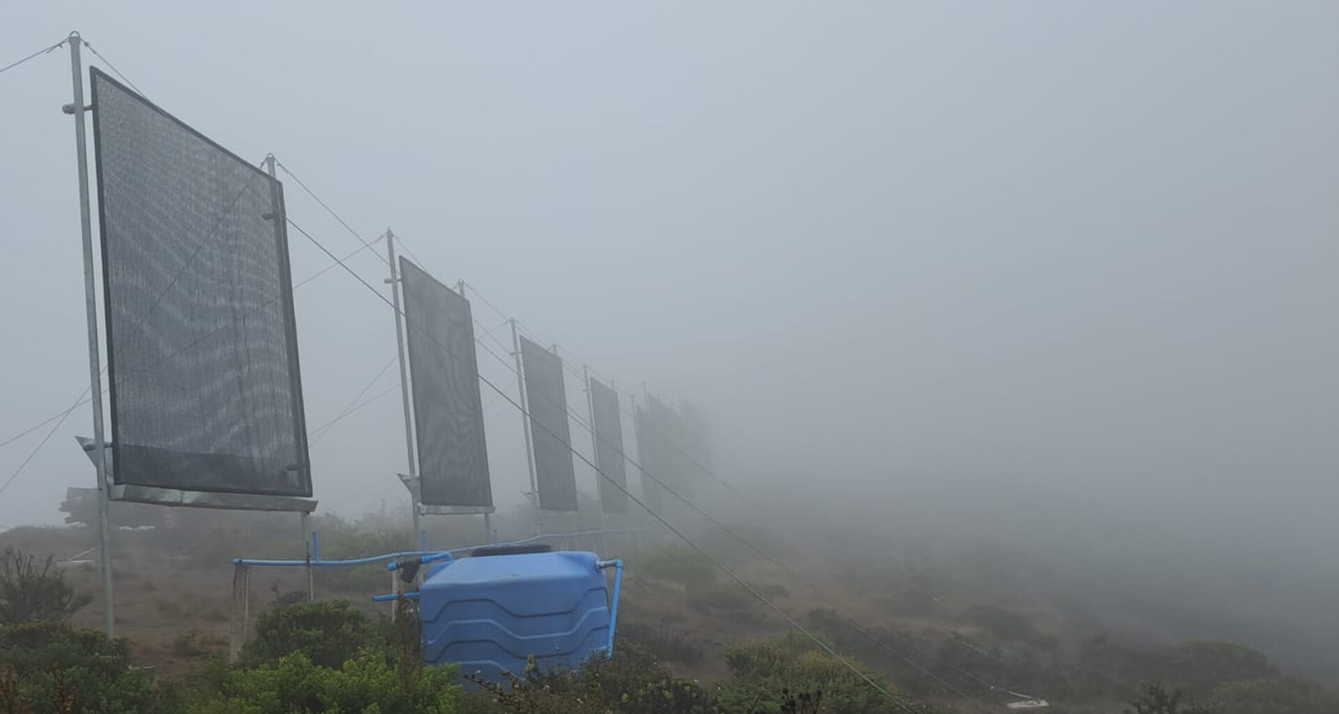 Capturing fog to make water