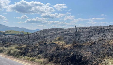 Council urged to take action on West Kerry route described as an “old roman road”