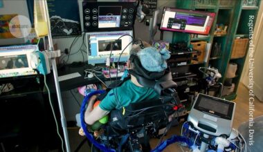 At-home brain implant gives man with motor neuron disease his daily life back