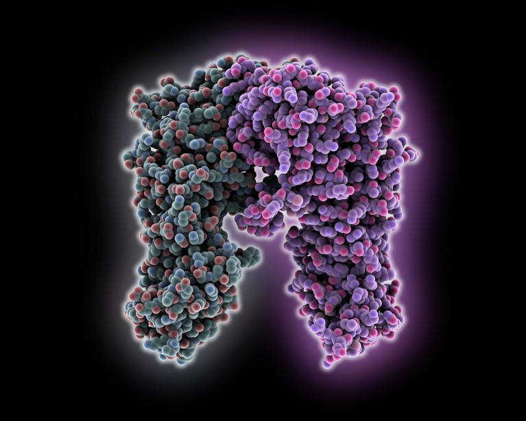 A 3D illustration of the molecular model of the human heat shock protein Hsp90, showing softly glowing structures composed of tightly packed spherical units in purple, pink, blue and teal against a black background