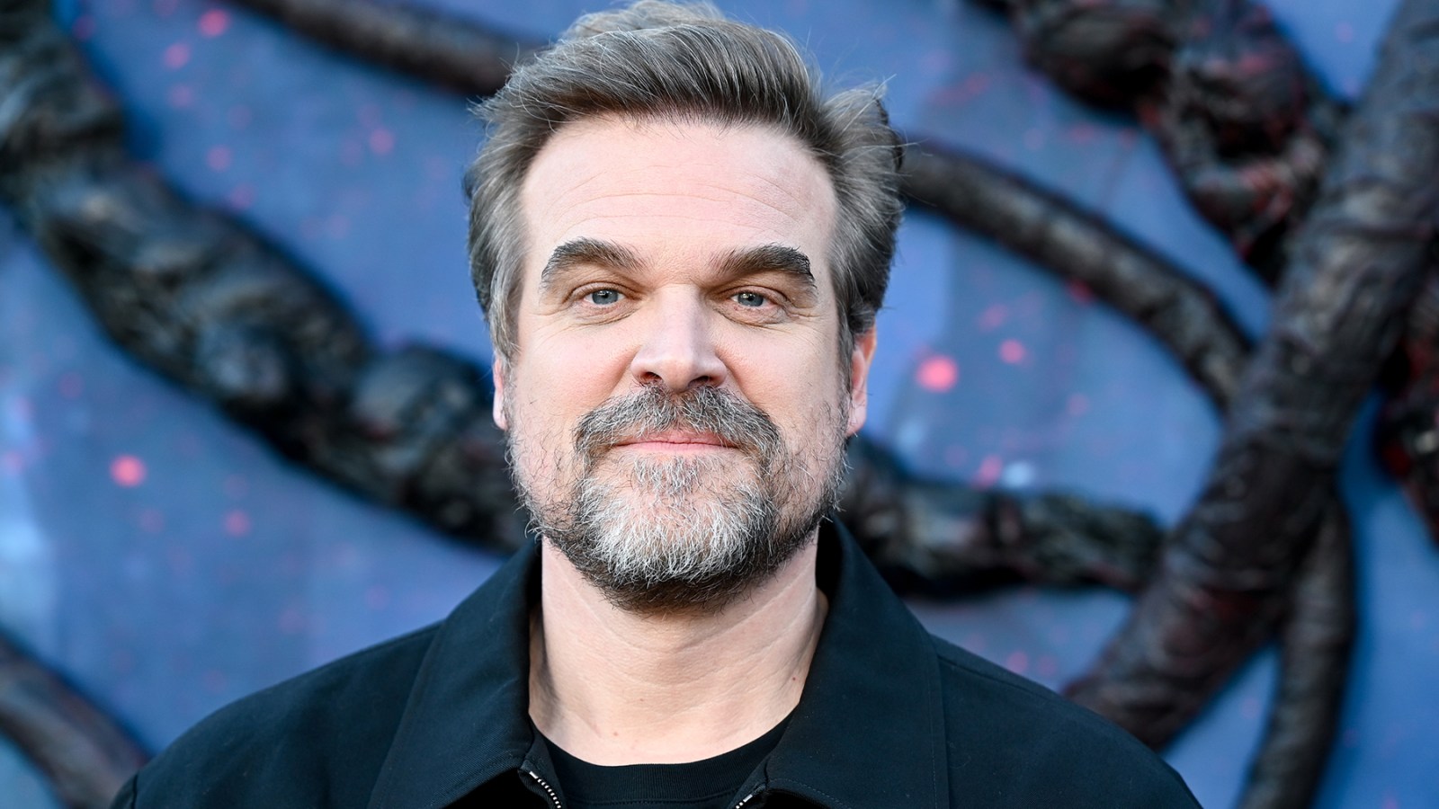 David Harbour Breaks Silence on Lily Allen Album, Millie Bobby Brown