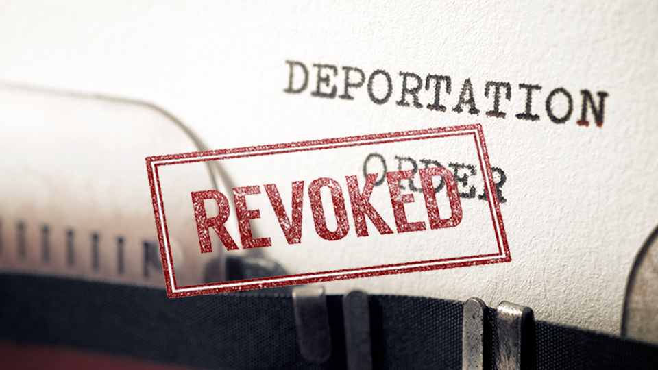 Latest EU stats show fall in deportations, including in Ireland