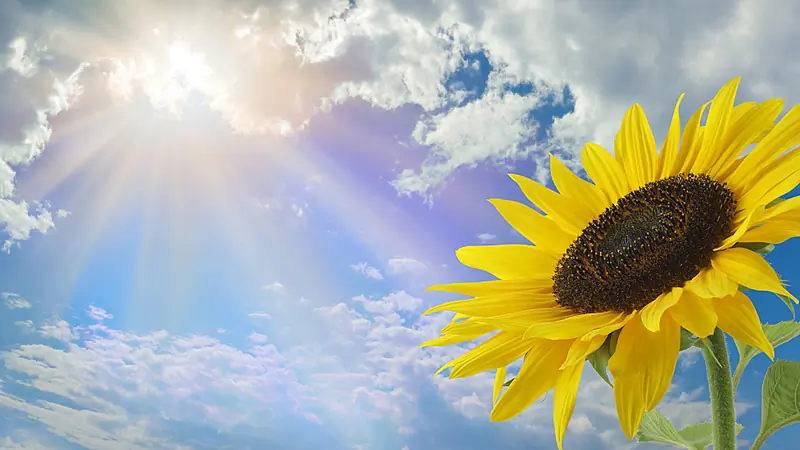 Donegal set to sizzle in 30°C scorcher as Ireland braced for record heat