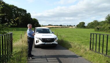 Fatal helicopter crash in Westmeath due to loss of control during training manoeuvre