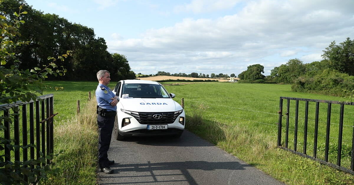 Fatal helicopter crash in Westmeath due to loss of control during training manoeuvre