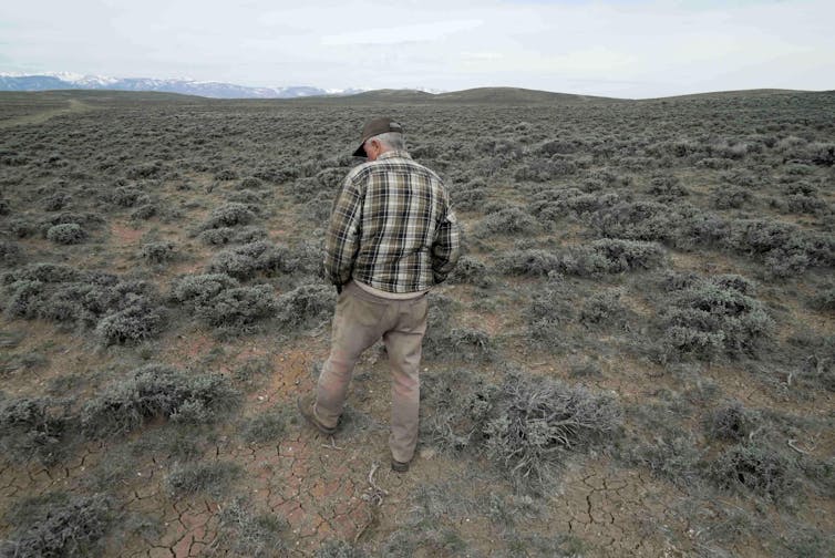 A man walks through a dry landscape