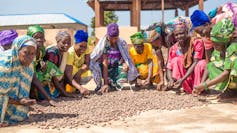 A group of about 15 women sorting round brown Shea nuts