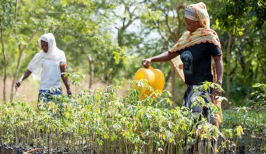 Community conservation in Ghana has evolved, but policy and funding need to catch up