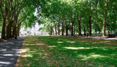 Trees and greenery can cool cities by as much as 18°C – but only if they’re the right type