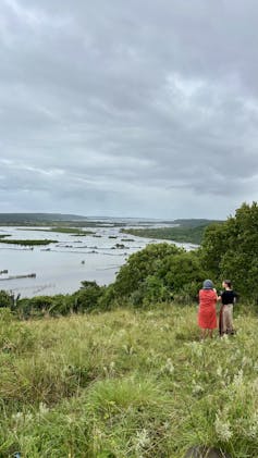 a green landscape near a body of water