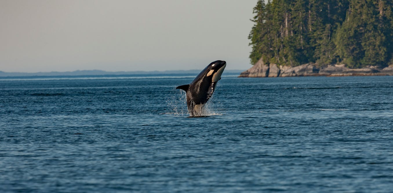 Canada’s ‘major projects’ should not come at the cost of the environment
