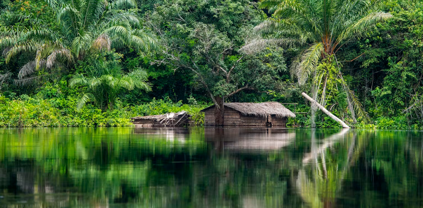 The 20km ripple effect: how mines can trigger distant deforestation in Africa