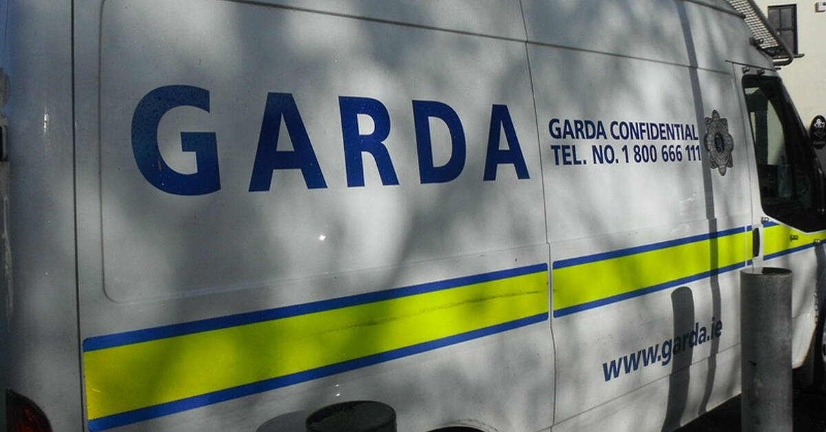 Gardaí appeal for witnesses after 'vicious' assault in North Kerry and assault on tourist in Killarney.