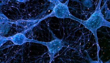 Neuroscience News logo for mobile.