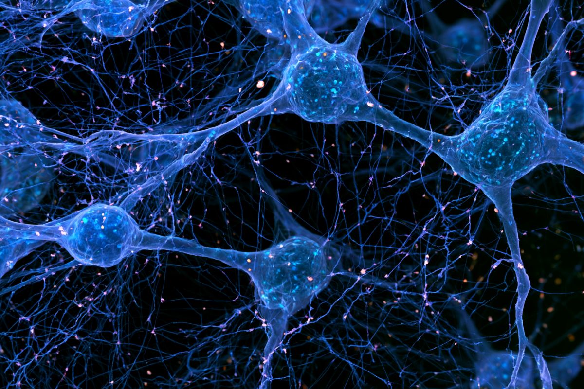 Neuroscience News logo for mobile.
