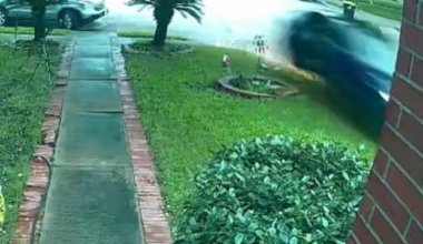 Horrifying moment Tesla on autopilot slams into home killing grandma, 76, inside as devastated family pay tribute
