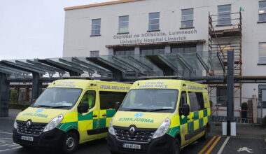 Heatwave bee swarm exacerbates overcrowding crisis at University Hospital Limerick