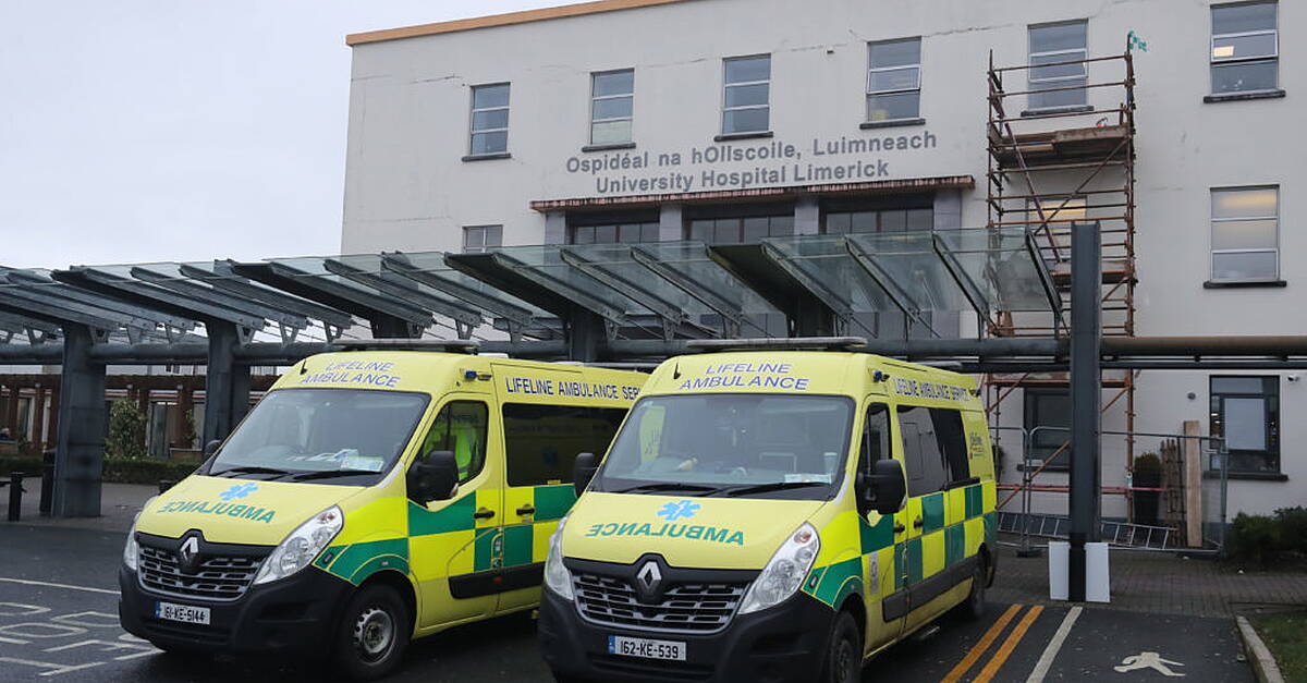 Heatwave bee swarm exacerbates overcrowding crisis at University Hospital Limerick