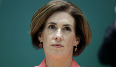 Minister to bring plan for first ever SNA strategy to Cabinet today - The Journal