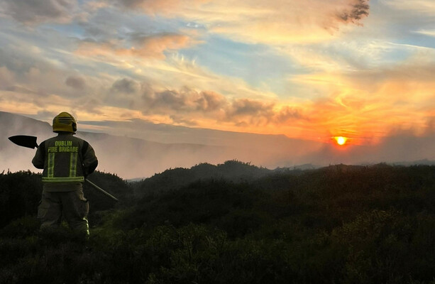 Investigation underway into claim large fire in Wicklow Mountains was ‘lit intentionally’ - The Journal
