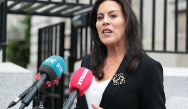Divisions emerge in Fine Gael over position taken by health minister on Rotunda consultants - The Journal