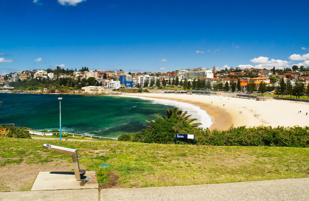 Woman in her 30s critically injured after shark attack at Australia's Coogee Beach - The Journal