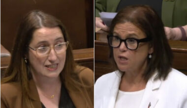 Dáil debates removal of 3-day abortion wait, as Taoiseach and Tánaiste back Sinn Féin bill - The Journal