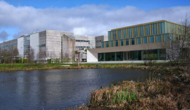 Six Irish universities rise in global rankings - here's which one ranked best in the country - The Journal