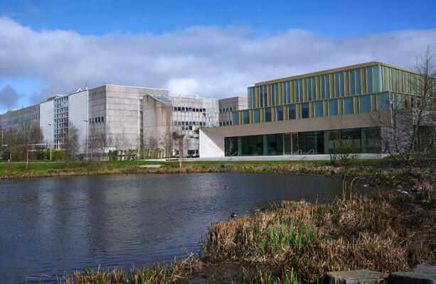 Six Irish universities rise in global rankings - here's which one ranked best in the country - The Journal