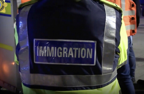 Up to 42 people, including 15 children, deported from Ireland to South Africa on latest flight