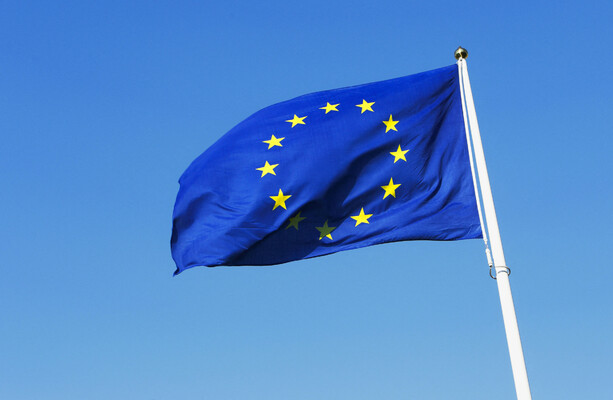 European Parliament president: This is Ireland’s moment to take the lead for Europe - The Journal