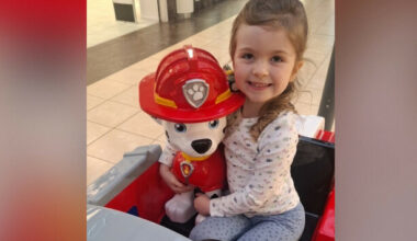 Six-year-old girl dies after being struck by a van in Newry - The Journal