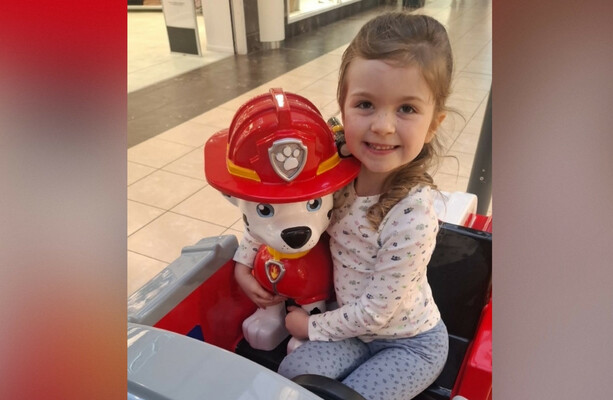 Six-year-old girl dies after being struck by a van in Newry - The Journal
