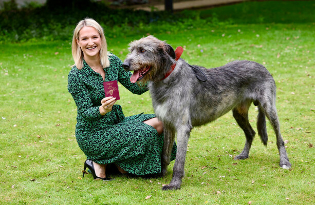 The Irish wolfhound features prominently on Ireland’s new passport - The Journal