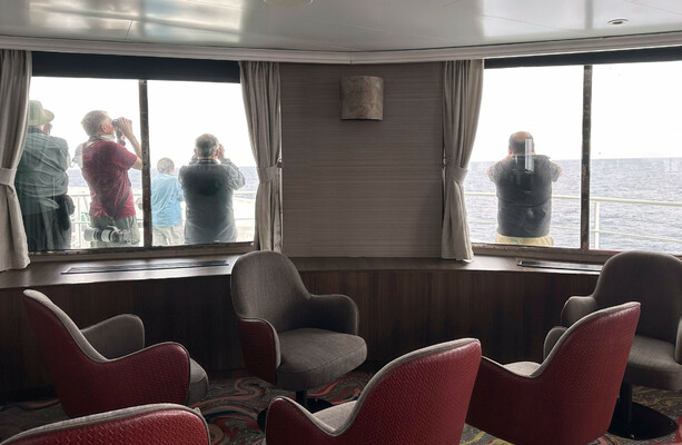 Irish woman stuck on hantavirus ship says she can't believe she escaped virus - The Journal