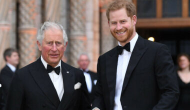 Is the feud over? Prince Harry and family to be guests of King Charles during UK visit - The Journal
