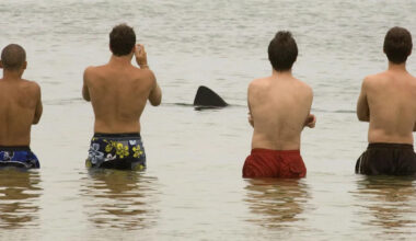 Cape Cod Times