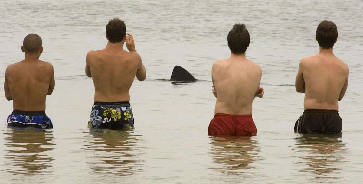Cape Cod Times