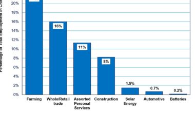 China Caught In “High-Technology/Low-Productivity Trap”