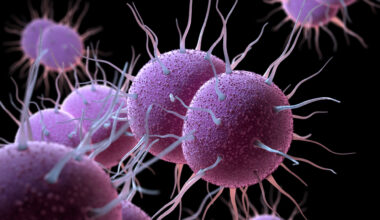 Neisseria gonorrhoeae, the bacterium responsible for the sexually transmitted infection Gonorrhea. 3D illustration