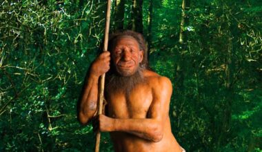 Ancient DNA Sheds Light on Final Chapter of Neanderthal Life in Northwestern Europe