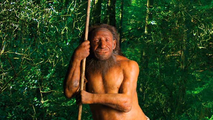 Ancient DNA Sheds Light on Final Chapter of Neanderthal Life in Northwestern Europe