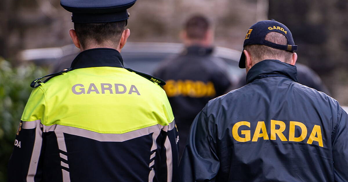 Loaded weapon discovered in car involved in fatal N21 collision